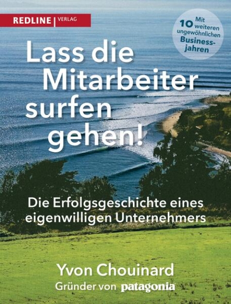 Bild von Lass die Mitarbeiter surfen gehen (eBook)