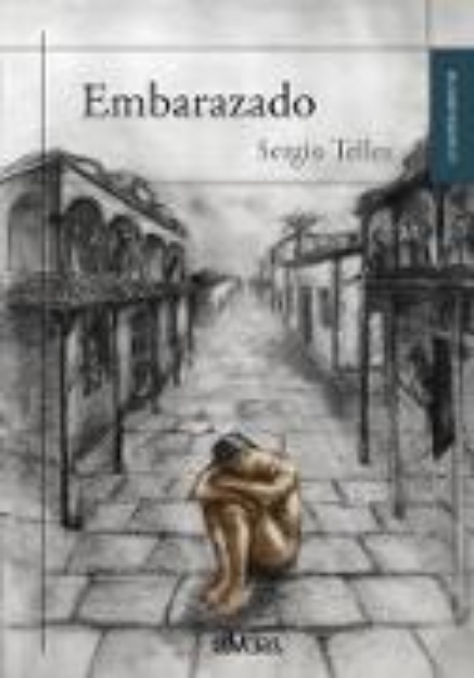 Bild von Embarazado (eBook)