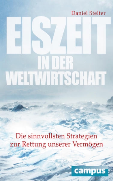 Bild von Eiszeit in der Weltwirtschaft (eBook)