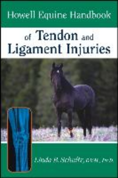 Bild von Howell Equine Handbook of Tendon and Ligament Injuries (eBook)