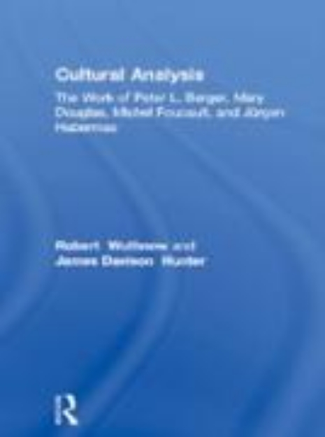 Bild von Cultural Analysis (eBook)