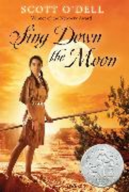 Bild von Sing Down the Moon