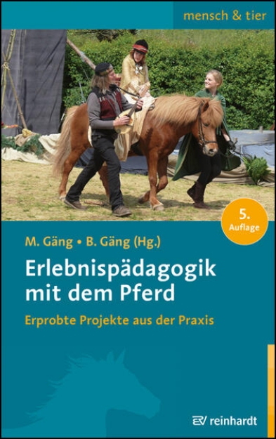 Bild von Erlebnispädagogik mit dem Pferd