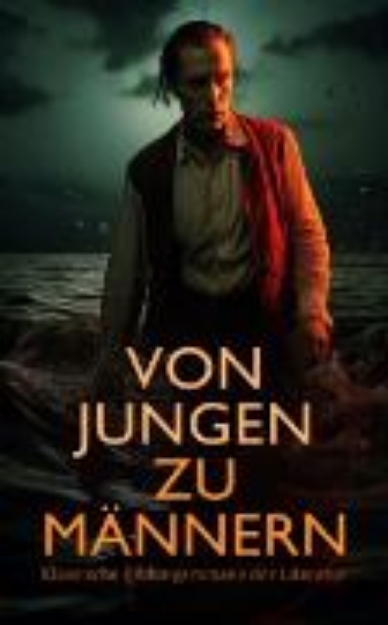 Bild von Von Jungen zu Männern: Klassische Bildungsromane der Literatur (eBook)