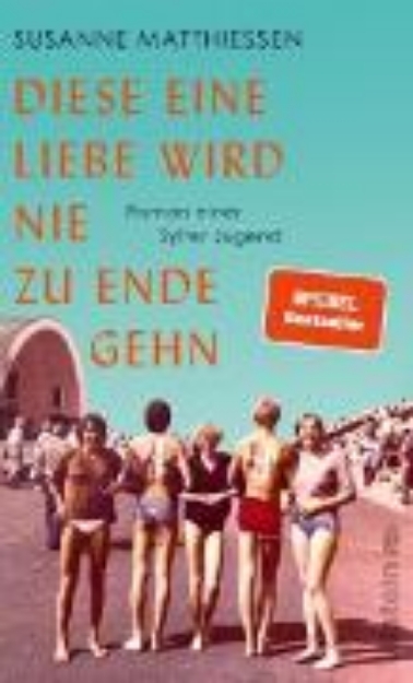 Bild von Diese eine Liebe wird nie zu Ende gehn (eBook)