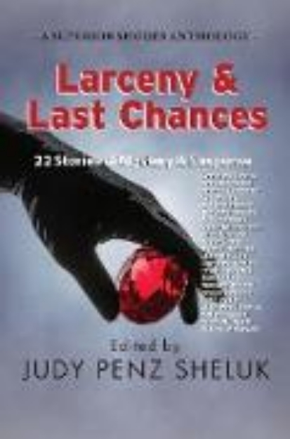 Bild von Larceny & Last Chances: 22 Stories of Mystery & Suspense (A Superior Shores Anthology, #4) (eBook)