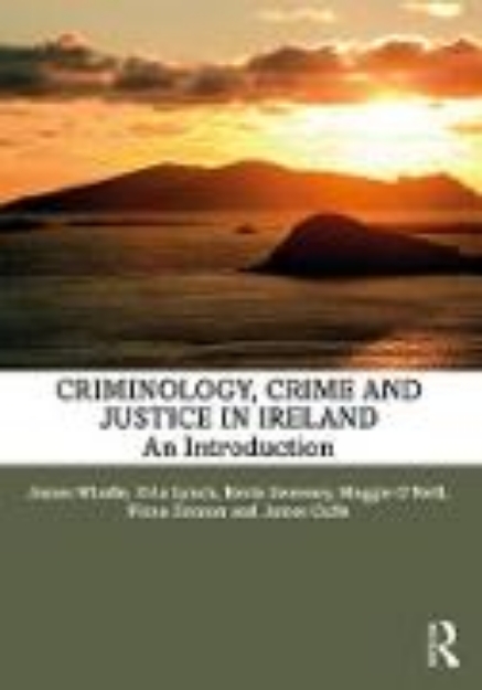 Bild von Criminology, Crime and Justice in Ireland (eBook)