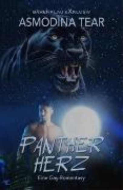 Bild von Pantherherz - Eine Gay-Romantasy (eBook)