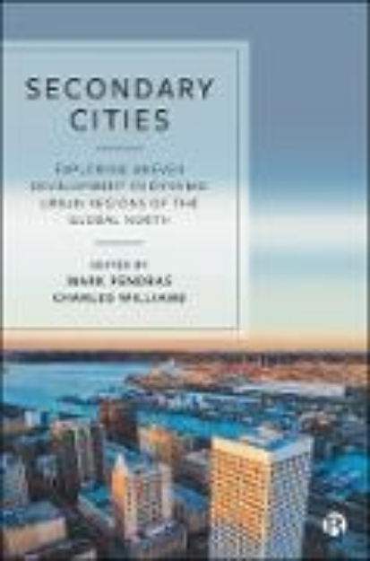 Bild von Secondary Cities (eBook)