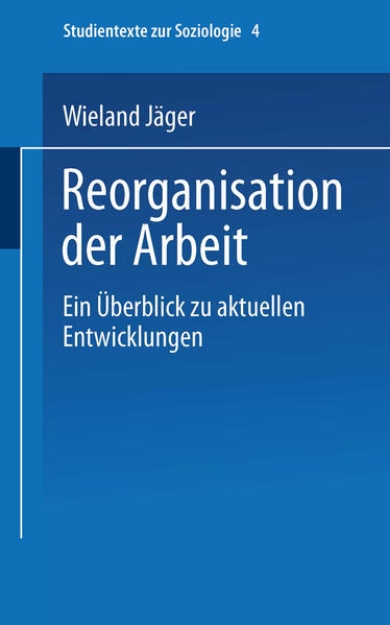 Bild von Reorganisation der Arbeit (eBook)