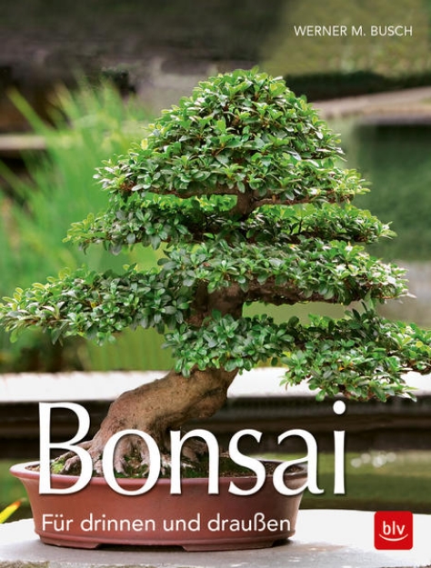 Bild von Bonsai