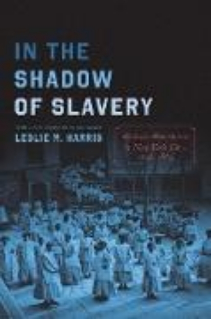 Bild von In the Shadow of Slavery (eBook)