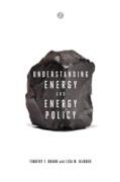 Bild von Understanding Energy and Energy Policy (eBook)