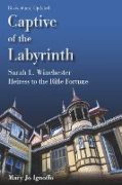 Bild von Captive of the Labyrinth (eBook)