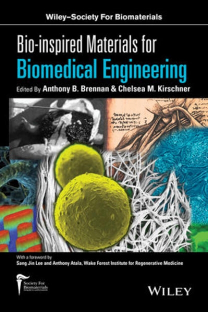 Bild von Bio-inspired Materials for Biomedical Engineering (eBook)