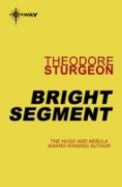 Bild von Bright Segment (eBook)