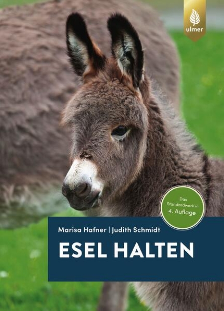 Bild von Esel halten (eBook)