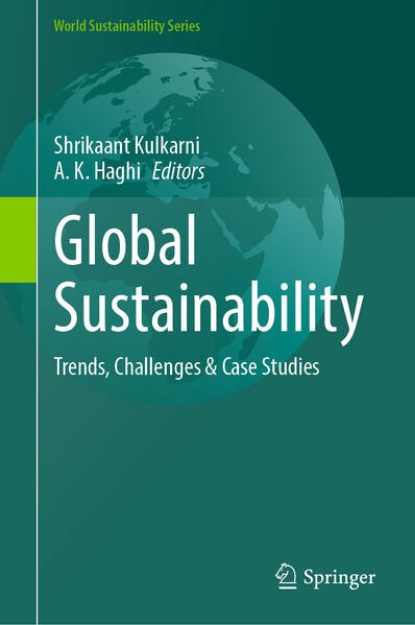 Bild von Global Sustainability (eBook)