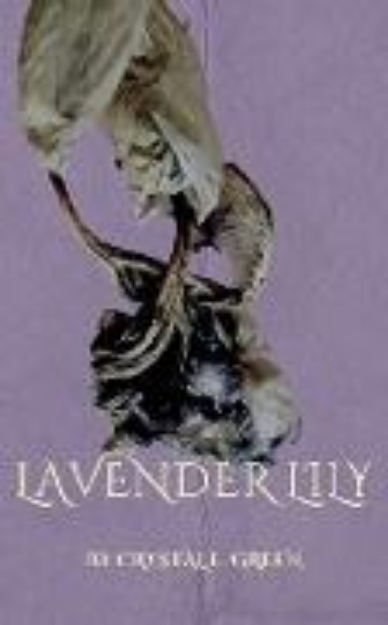 Bild von Lavender Lily