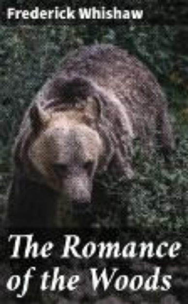 Bild von The Romance of the Woods (eBook)