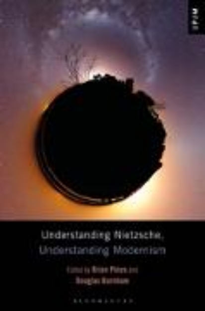 Bild von Understanding Nietzsche, Understanding Modernism (eBook)