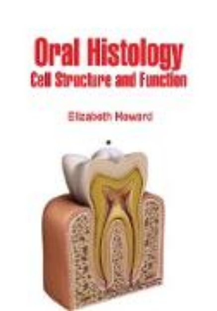 Bild von Oral Histology (eBook)