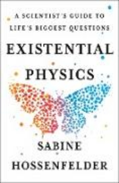 Bild von Existential Physics (eBook)