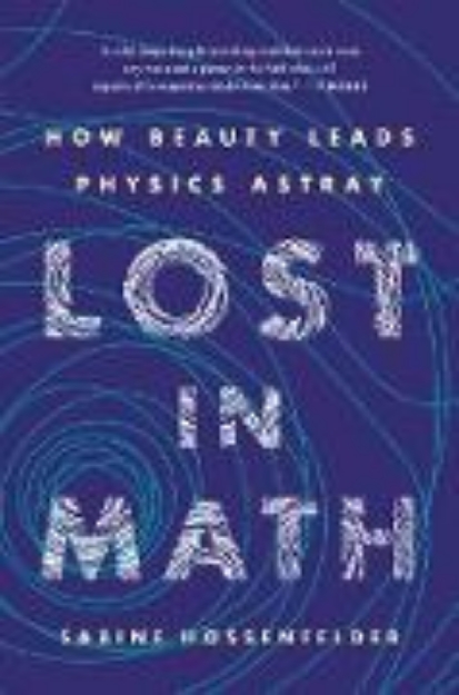 Bild von Lost in Math (eBook)