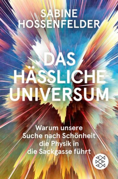 Bild von Das hässliche Universum