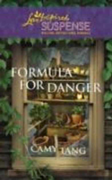 Bild von Formula for Danger (eBook)