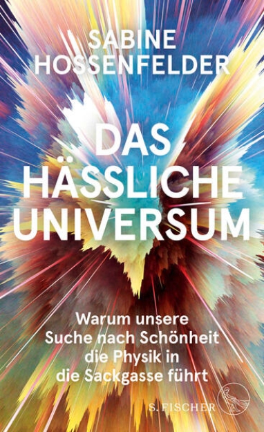 Bild von Das hässliche Universum