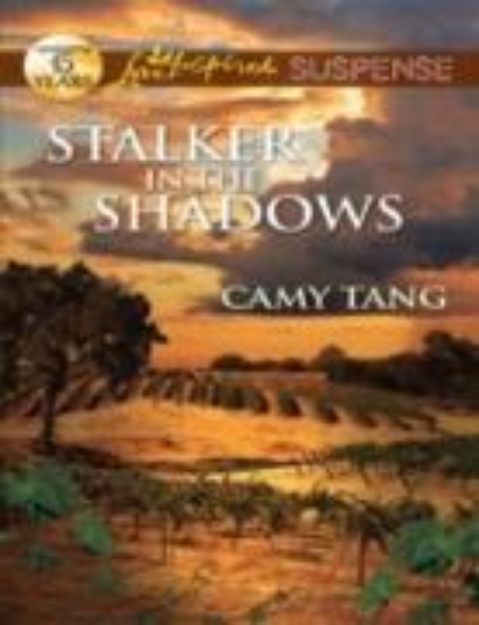 Bild von Stalker in the Shadows (eBook)