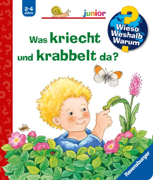 Bild von Wieso? Weshalb? Warum? junior, Band 36: Was kriecht und krabbelt da?