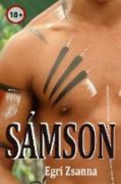 Bild von Sámson (eBook)