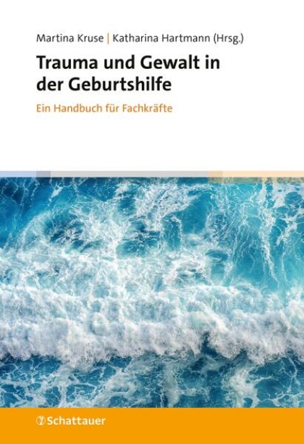 Bild von Trauma und Gewalt in der Geburtshilfe (eBook)