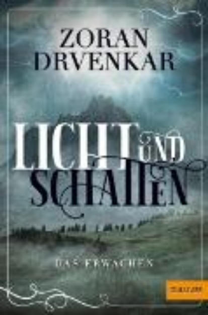 Bild von Licht und Schatten (eBook)