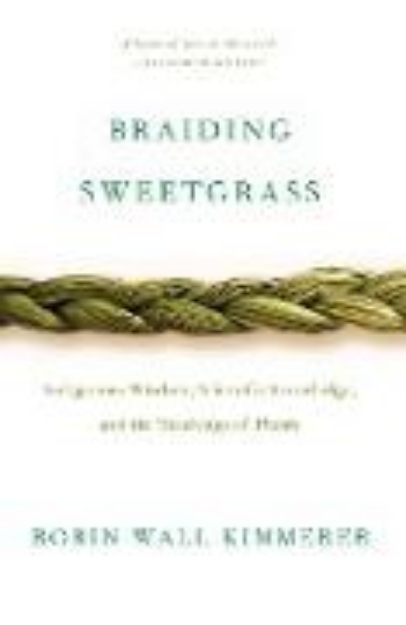 Bild von Braiding Sweetgrass (eBook)