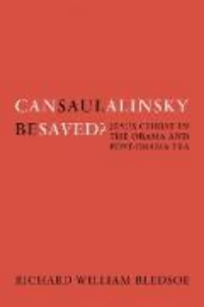 Bild von Can Saul Alinsky Be Saved? (eBook)