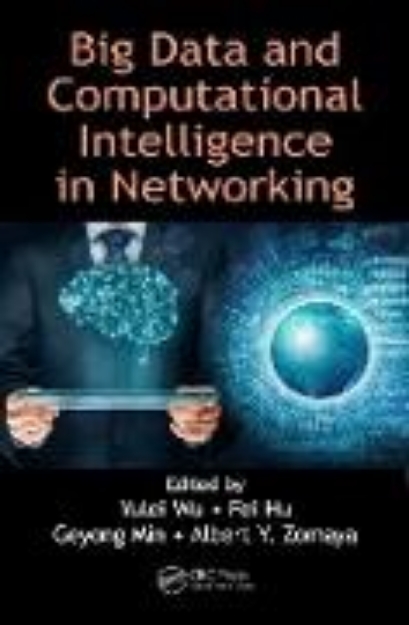 Bild von Big Data and Computational Intelligence in Networking (eBook)