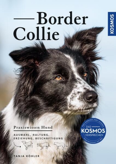 Bild von Border Collie (eBook)