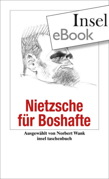 Bild von Nietzsche für Boshafte (eBook)