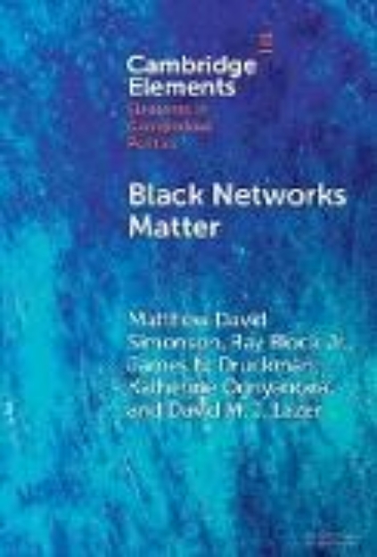 Bild zu Black Networks Matter (eBook)