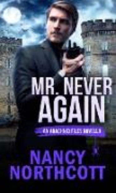 Bild von Mr. Never Again (The Arachnid Files) (eBook)