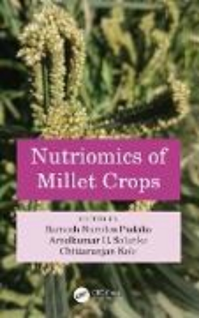 Bild von Nutriomics of Millet Crops (eBook)