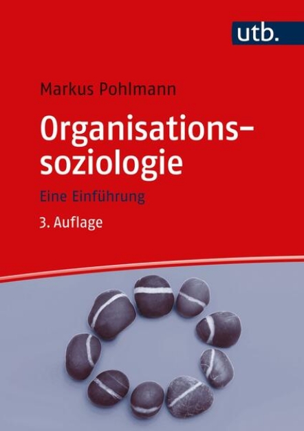 Bild von Organisationssoziologie (eBook)