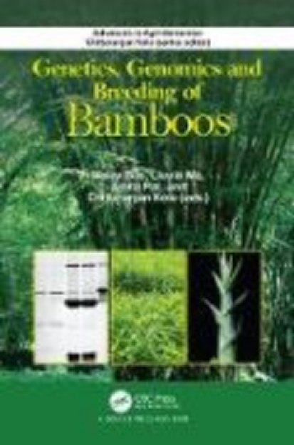 Bild von Genetics, Genomics and Breeding of Bamboos (eBook)