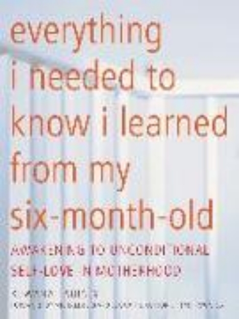 Bild von Everything I Needed to Know I Learned From My Six-Month-Old (eBook)