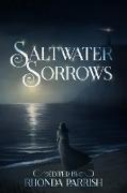 Bild von Saltwater Sorrows (eBook)