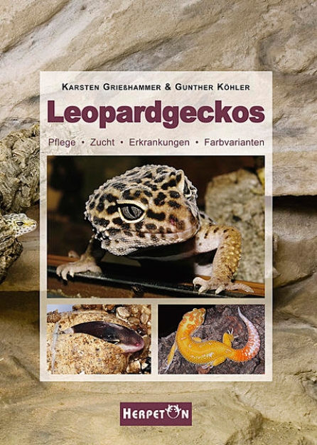 Bild von Leopardgeckos