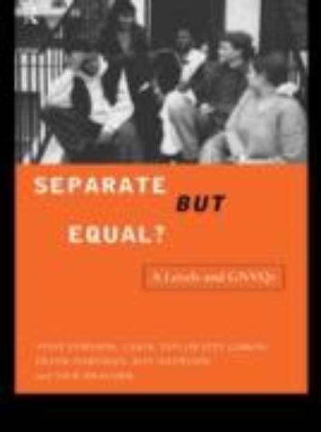 Bild von Separate But Equal? (eBook)